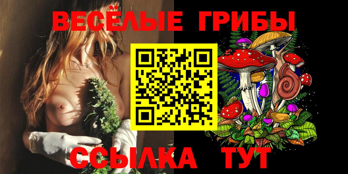 Псилоцибиновые грибы MAGIC MUSHROOMS  Галлюциногенные грибы GOLDEN TEACHER  Вход с VPN  Нефтекамск 